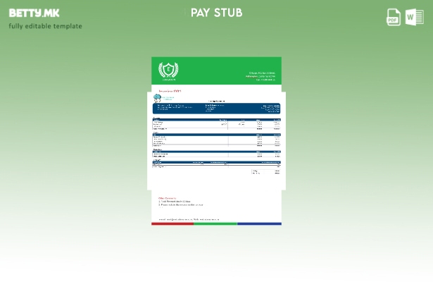 Модерен стил шаблон за компанија за информатичка технологија paystub